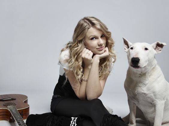 SAD NEWS: Celebrity Bull Terrier Owner ”Taylor Swift” Has Passed Away Following a…